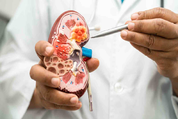 Kidney Disease